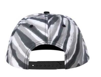 Santa Cruz Classic Snapback - Mens Hat - Sneakers Plus