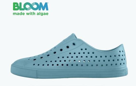 Native Jefferson Bloom - Sneakers Plus