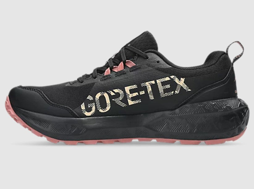Black GORE-TEX sneaker on a gray background
