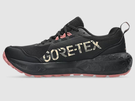 Black GORE-TEX sneaker on a gray background
