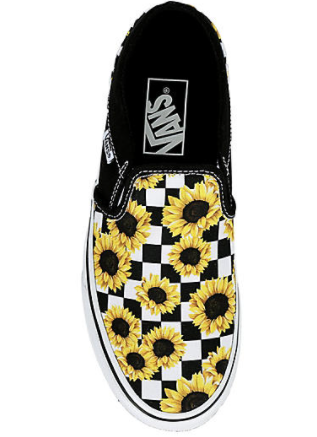 Vans Asher Kids Slip On Shoe