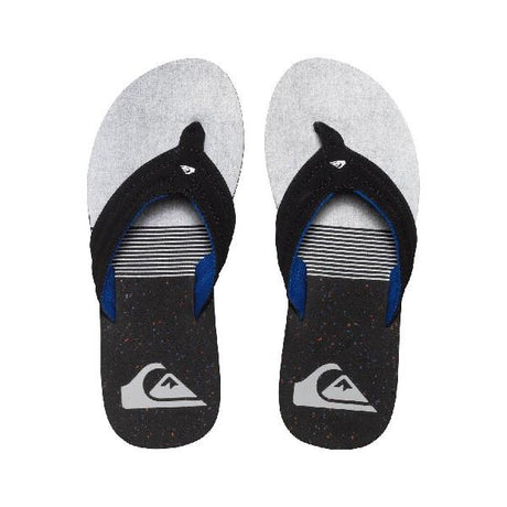 Quiksilver Basis Mens Sandals Silver-Blue | Sneakers Plus
